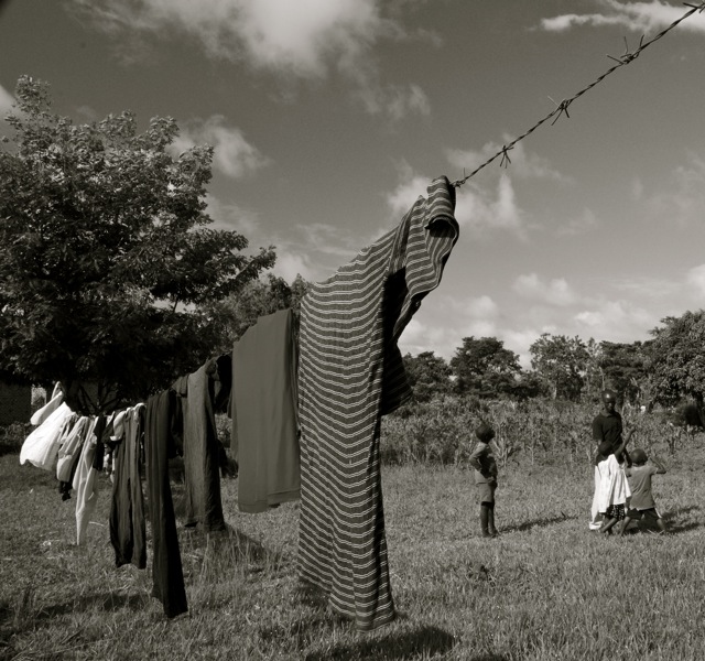 Barbed Wire Fences